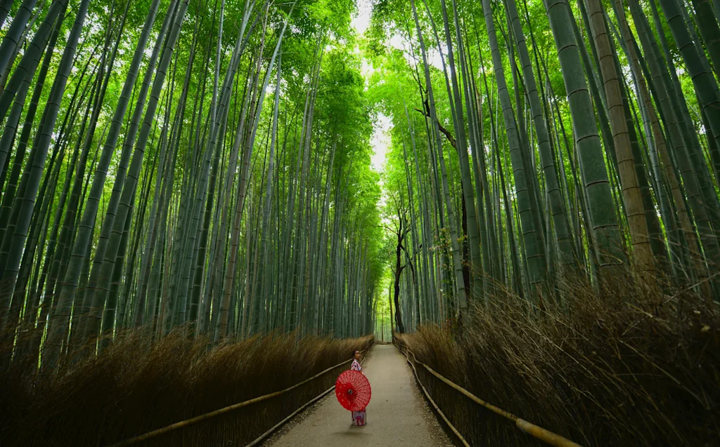 walter mario stein kqfe9mvv7xw unsplash blog