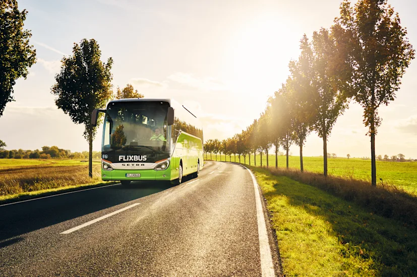 flixbus road trees.png