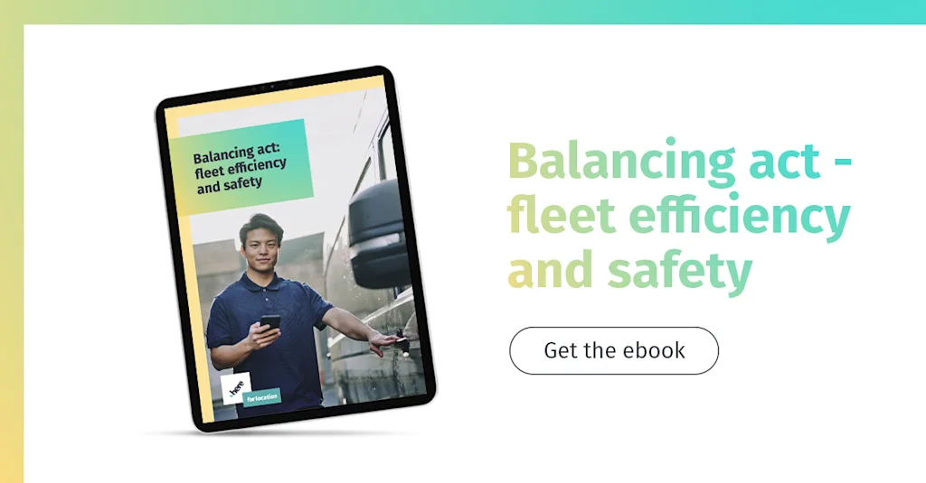 Image / en / Efficiency versus safety - eBook metadata image