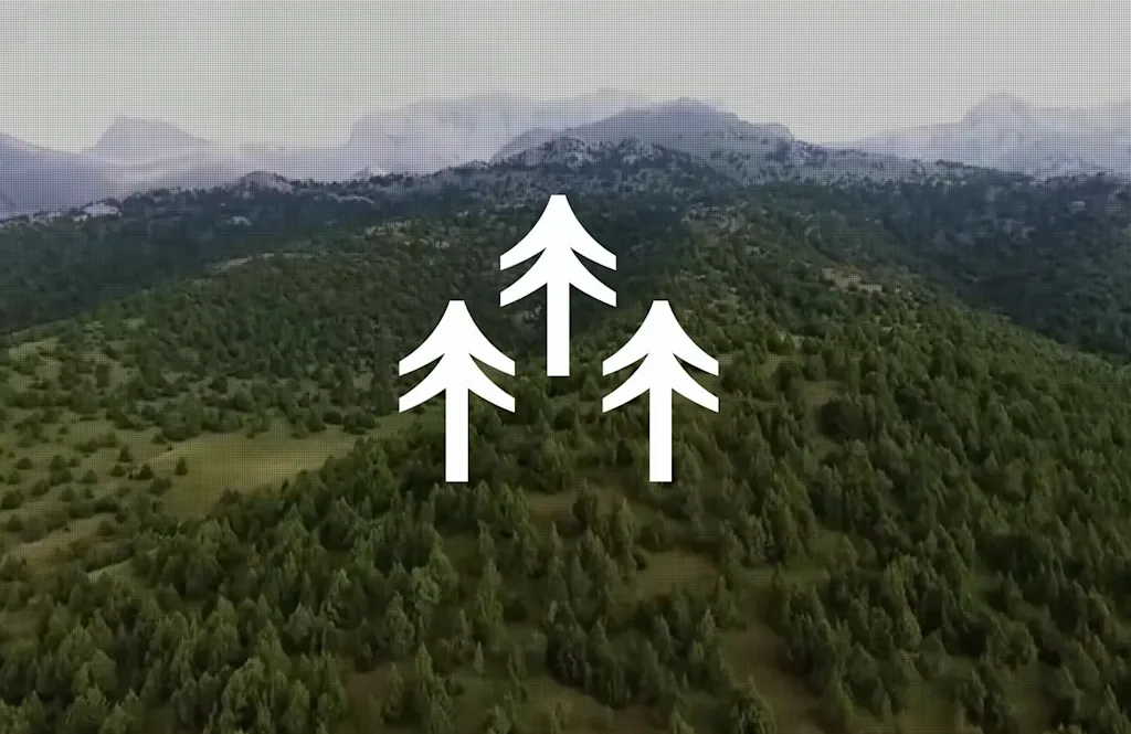 p2 terra0 blog