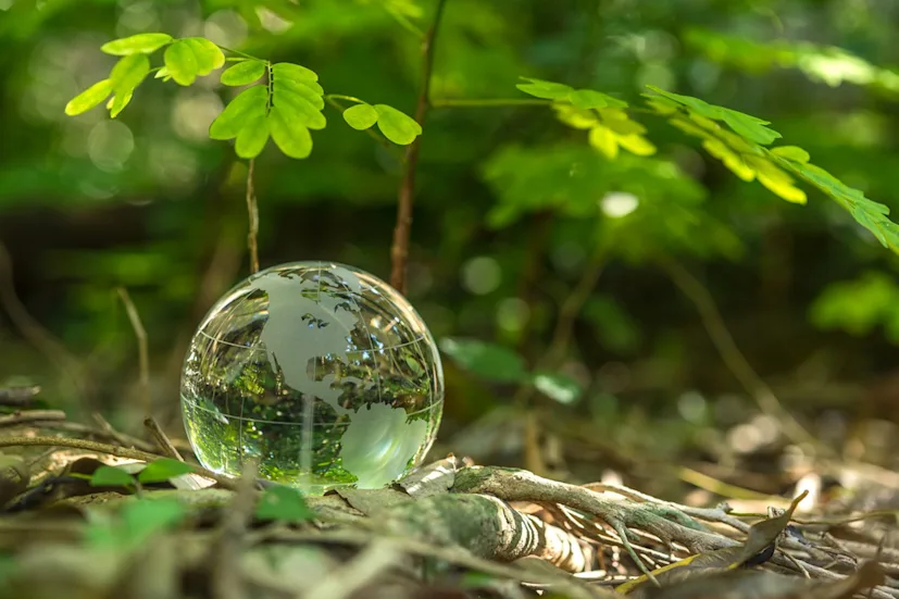 istock 1142027268 blog.jpg
