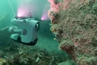blueye-x3-underwater-drone-blog.jpeg