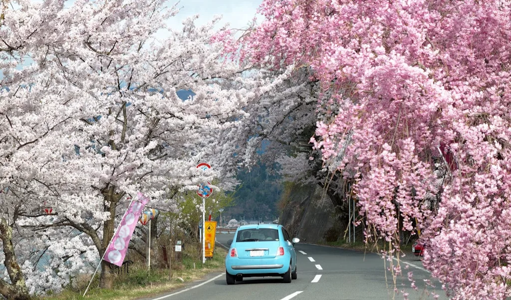 4009550 Connected Driving jp editorial card ADAS.jpg