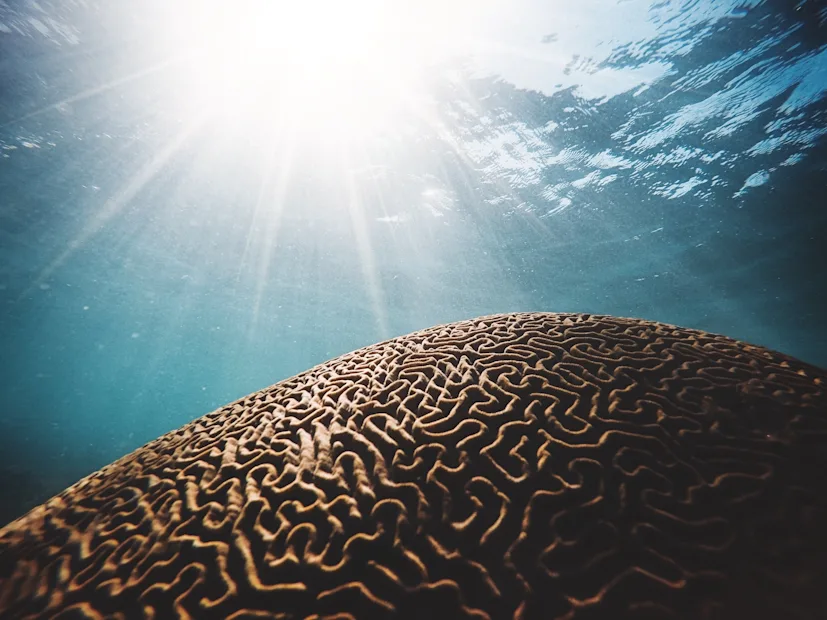 daniel hjalmarsson 41wuv1xsmgm unsplash blog.jpg