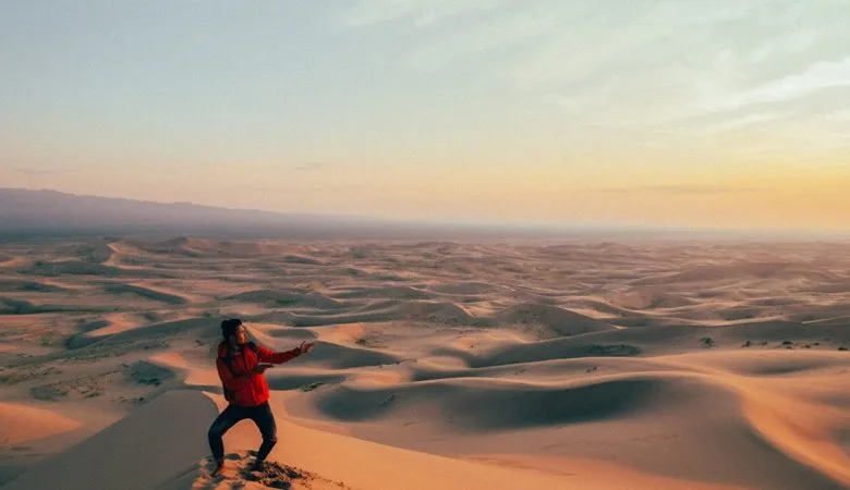 gobi blog