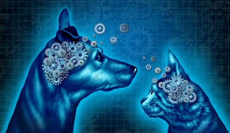 dogcat blog