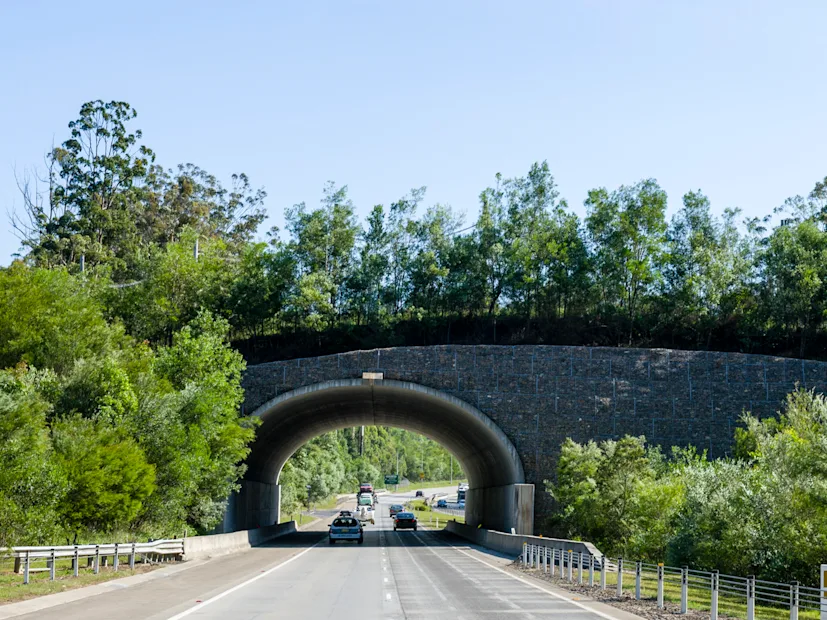 HERE360 | Striking distance: why Australia's trucks keep hitting bridges | Main