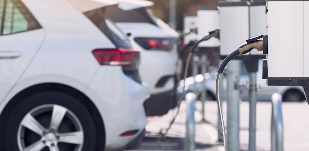 Electric Vehicle Adoption