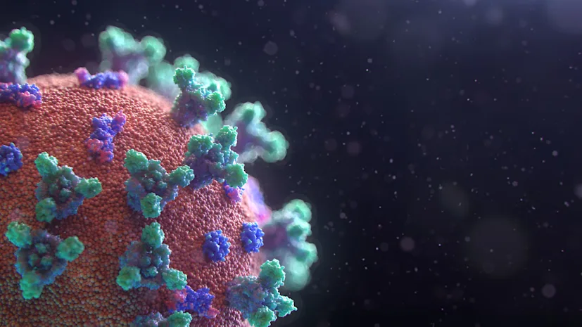 fusion medical animation eaggqoiddmg unsplash blog.jpg