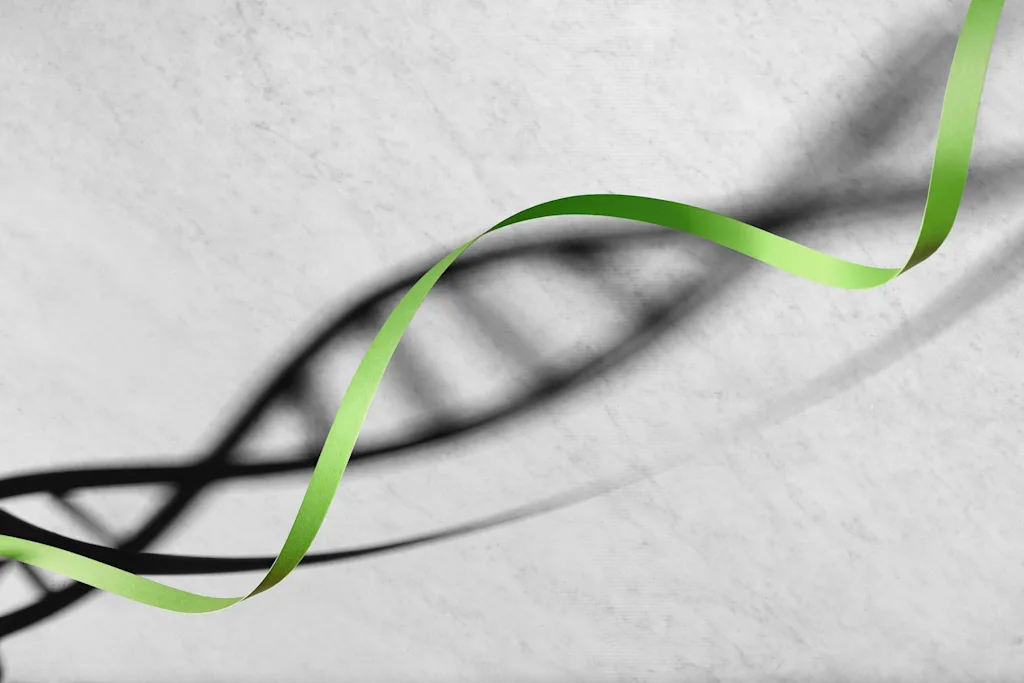 haelixa ribbon blog
