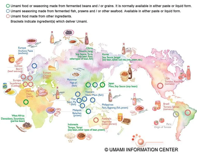 unami culturein blog