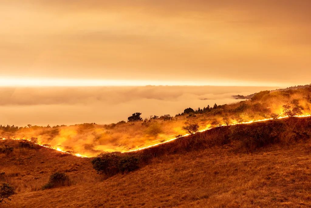 california wildfires 2020 blog
