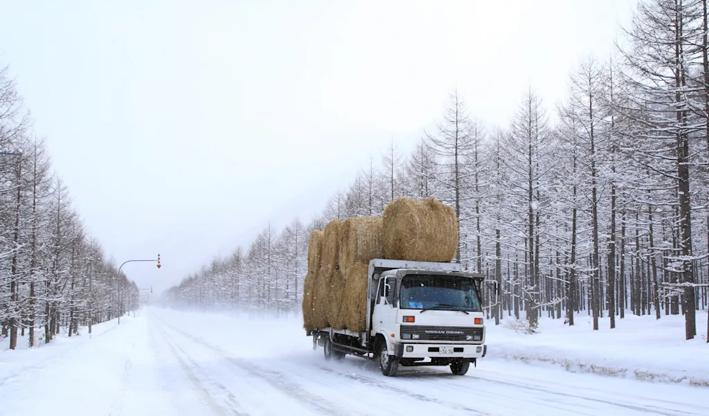 3648942 HERE Fleet management Japan editorial Address unsafe driving 1500x880.jpg