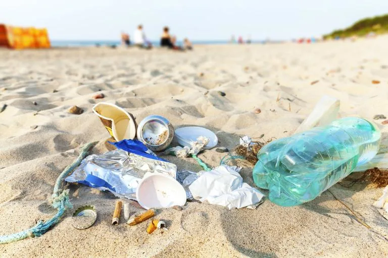 litter waste rubbish trash garbage refuse beach blog