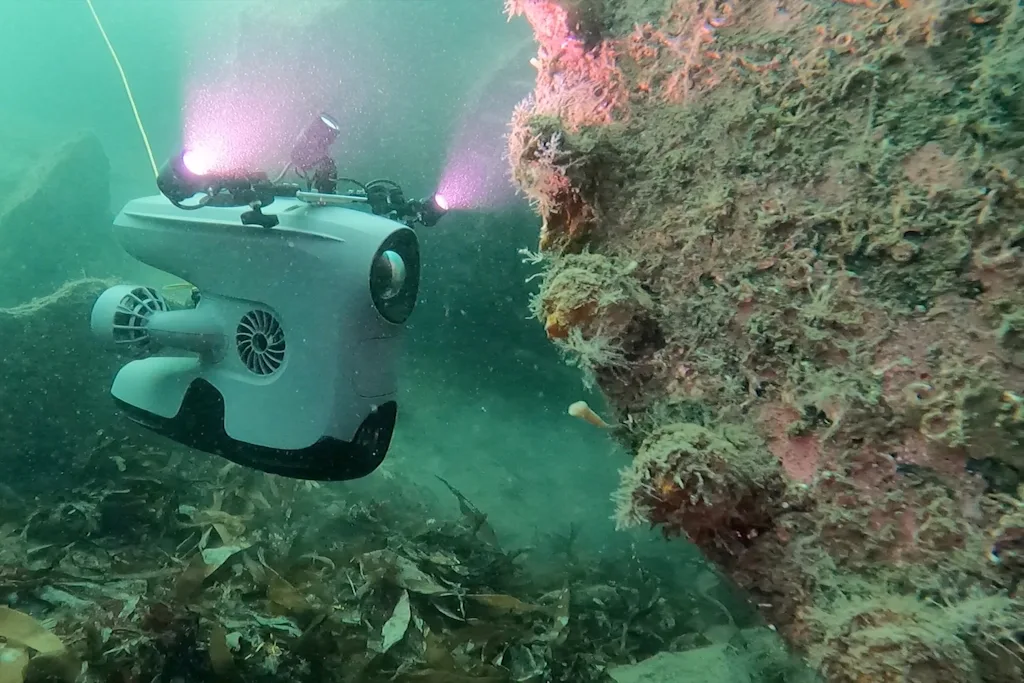 blueye x3 underwater drone blog