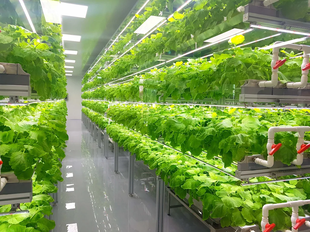 verticalfarming blog