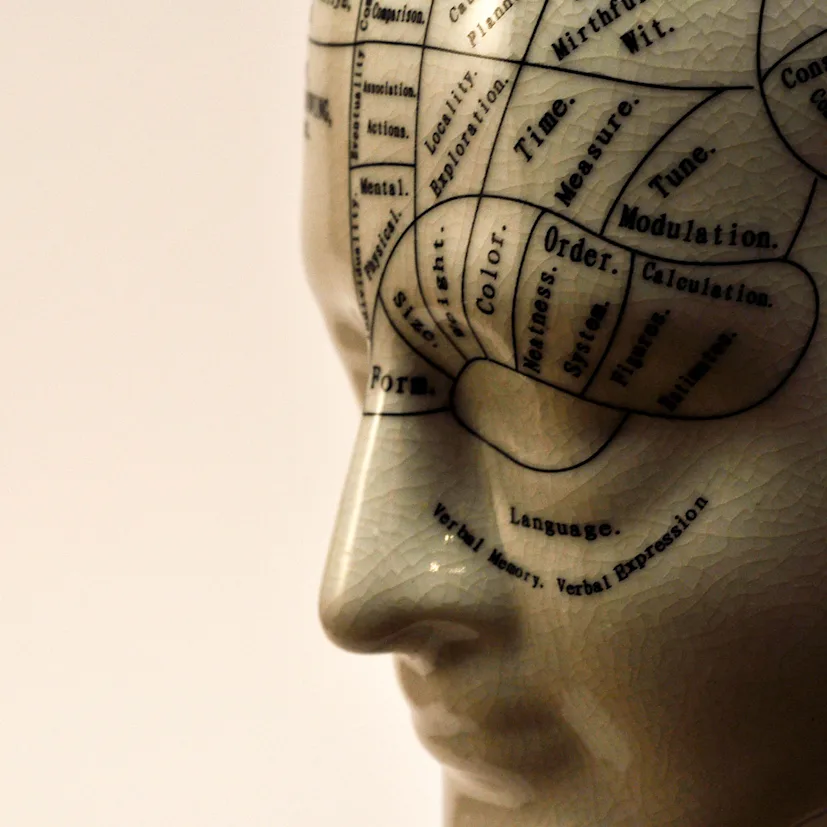 phrenology blog.jpeg