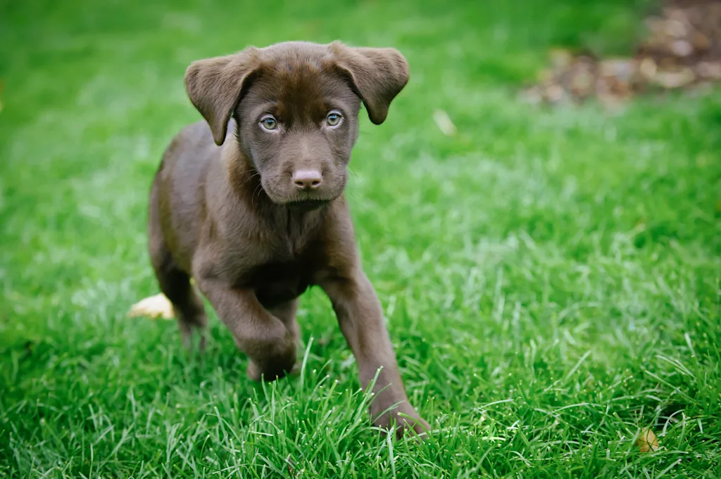 shutterstock 425703544 blog