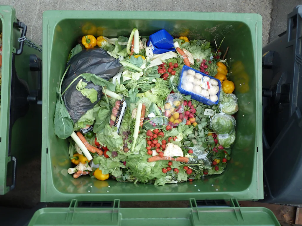 food waste blog
