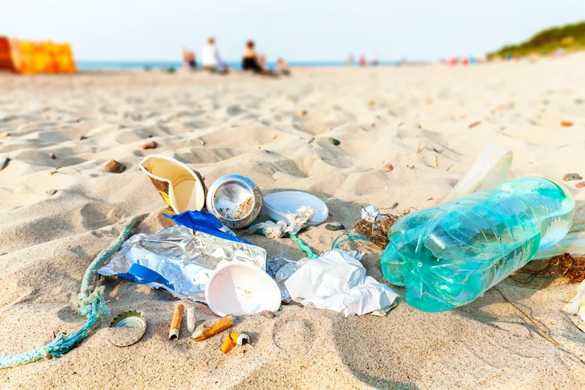 litter waste rubbish trash garbage refuse beach blog.jpg