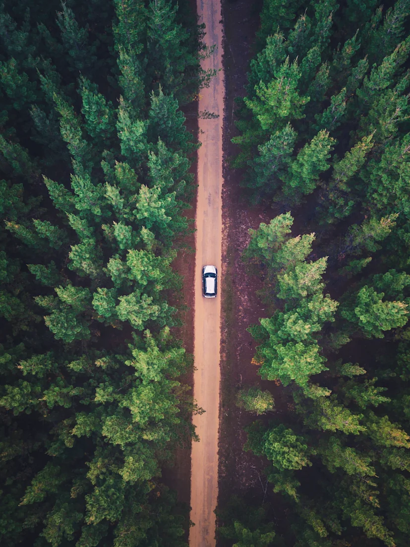 liam pozz 455682 unsplash blog.jpg