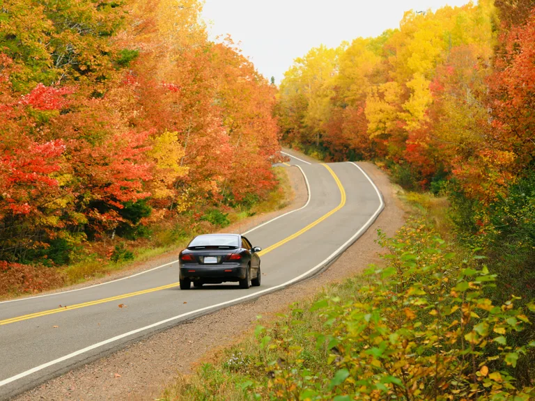 fall autumn car autonomous driving trends road